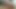 Wildes Analdildospiel Im Freien Mit Geiler Facesitting-schlampe