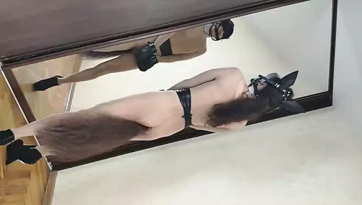 deri koşum ile Littleponnyboy korkak eğitim