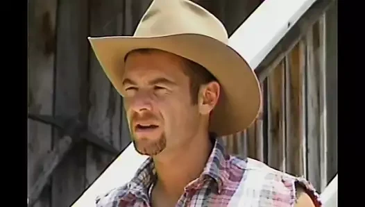 Harika eşcinsel sikişi