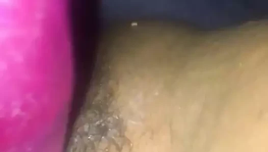 Abanoz ile kremsi oyuncak kedi