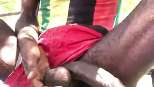 kesilmemiş dev siyah horoz