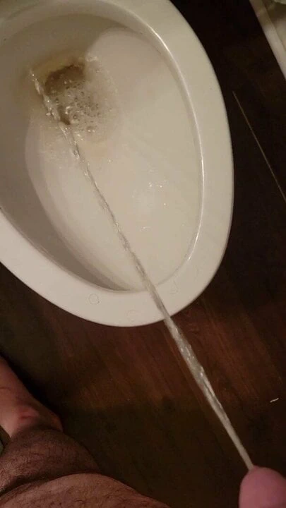 toilet piss