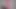 Pembe lastik gimp bölüm 3