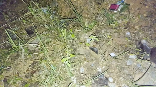 Nepalli teyze sevgilisi gece domaltarak seks videosu nepalli ses