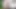 Sıska sarışın götünü canavar bir yarakla parçalıyor