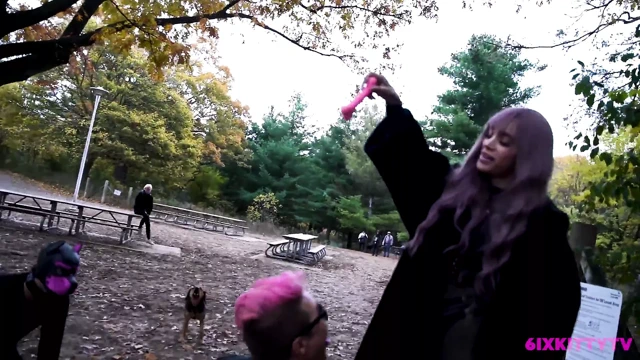 Kamu 2'deki Dominatrix (sosyal deney)