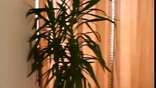 Seksi fahişe sarışın harika üçlü grup seks