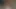 Avrupalı sekscapade büyük memeli,