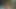 Yüzme havuzunda seks
