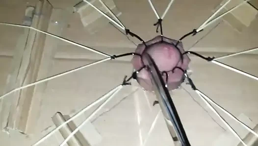 olta ile TCMB aşırı horoz işkence bölüm 1