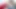 Aklını kaybediyor ve genç sutyenli Sylvia'nın üzerine boşalıyor