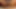 Seksi zenci kızlarda büyük beyaz penis