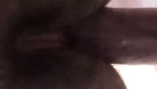 Lil büyük kıllı sıkı kedi