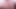 Cb latina lyli pembe kabarık kedi