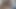 Büyük zenci yarağı amatör Kenyalı amcığı domaltarak sikiyor