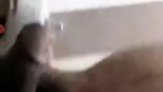 Jitendra hindistan ki sabse gandi video