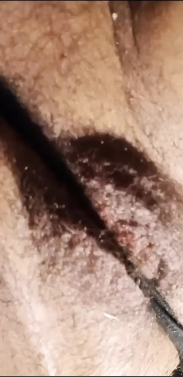 Fahişe d bouira 2026 derlemesi