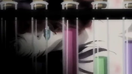 Metamorphis of Maggit to Fly HMV