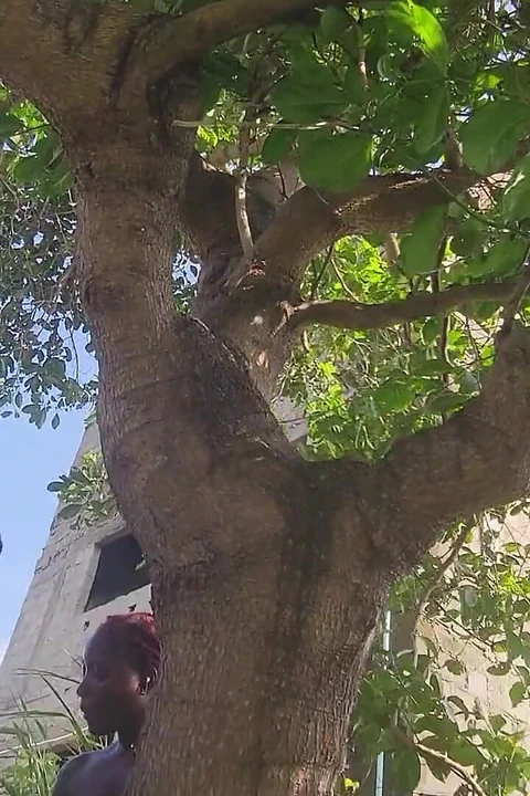 Двое любовников, путешествующих по дороге решили трахаться в зарослях, когда там автобус выдал