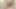 deutscher porno produzent bumst alles was ihm vor die kamera laeuft