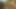 Dreier in der Bibibliothek