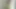 mtsl tarafından Beautyfull trappy gösterisi, olmayan çıplak ama sıcak mutlaka görmek
