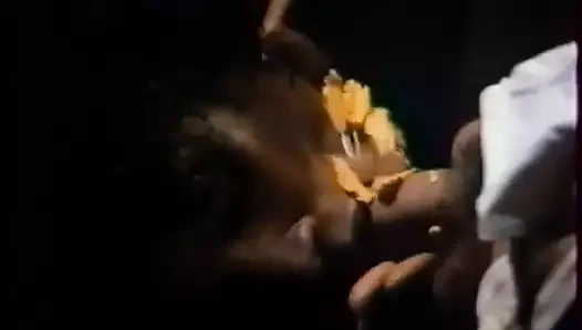 Sd kıllı 45