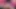Valerie zenci bir delikanlıya orta yaşlı seksi kadınlar ile sikişme dersi veriyor