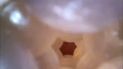 Dahili et ışığı