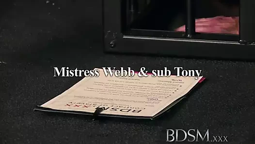 bdsm xxx kafesli subs vardır aşağılanmış önce öğretilmeden