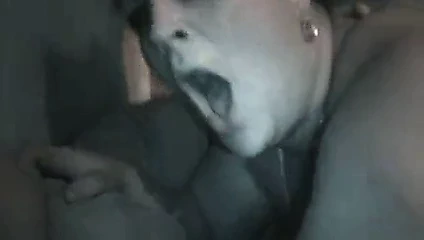 Güzel hizmetçi, melek acele, tükürük büyük bir siyah horoz parlıyor,