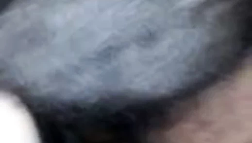 Kirli sürtük yakın yukarı büyük siyah horoz benim kıllı kedi lanet