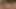Orta yaşlı seksi komşumu bahçesinde sikiyorum