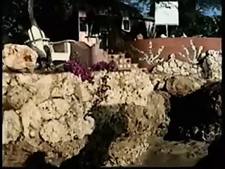 Playboy крошки Baywatch