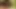 üç seksi Asya sluts parmak Siktir et onların pussies dışında