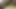 ind