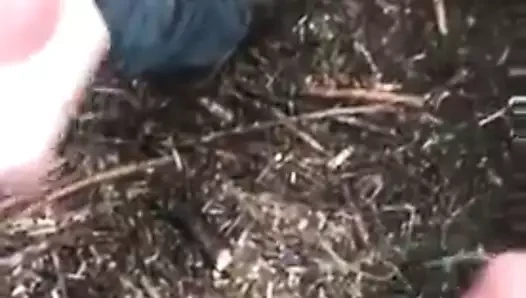Parkta dostum ile hızlı jackoff