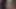 Alexa zarafet seviyor büyük siyah horoz