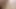 Seksi anne - üvey anne ve kızı Şükran Günü hediyesi veriyor