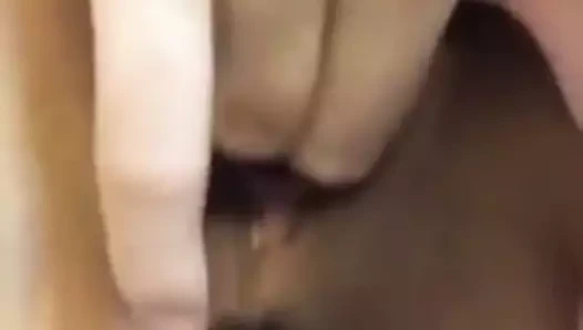 Pinay kedi mastürbasyon