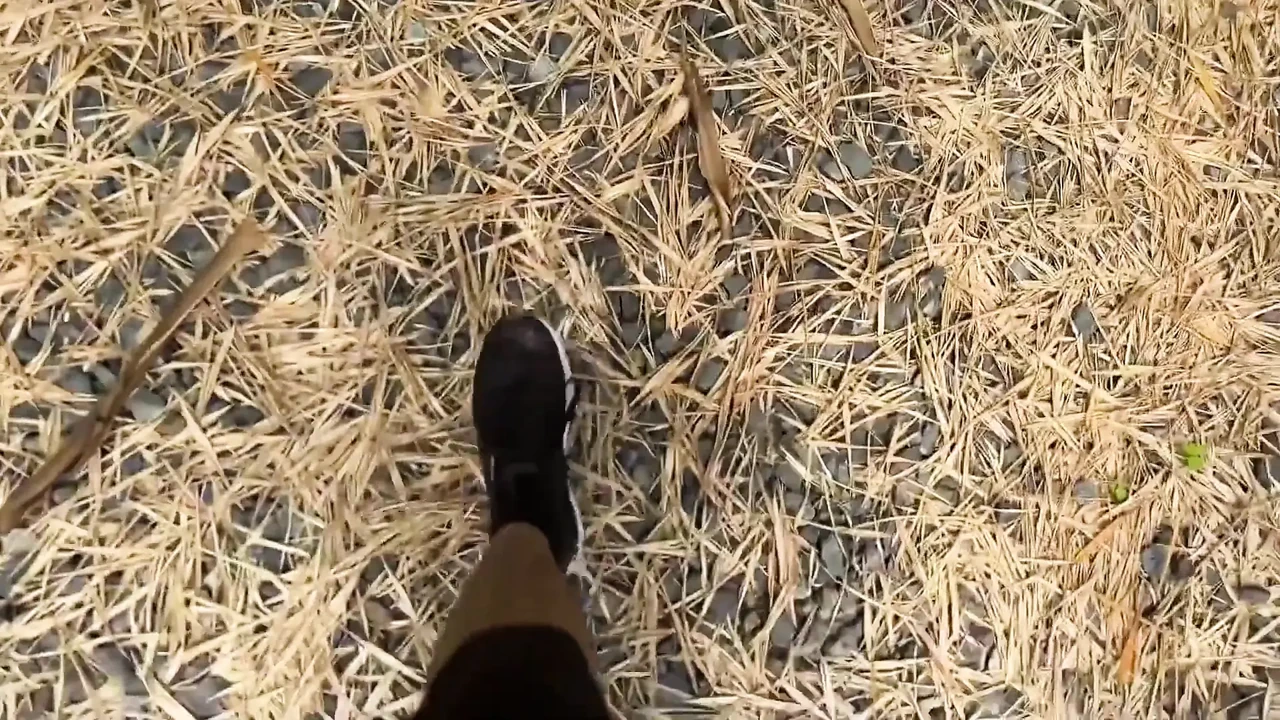True Blue Im Going On A Trip And Get Fucked In The Forest Feat Anna Cherry By Faphouse (Latest Sydney) - Canberra Locals Only - Australian Sex Video