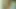Wet Cotton Secrets Vol. 14 Part 3