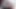 4 Aria Khaide sağım videoları