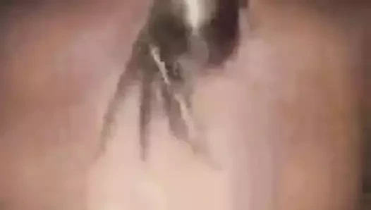 Genç askeri eş seviyor Başlarken becerdin tarafından ona bbc komşu