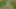 Porno piçleri: lara croft