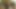 Onu takip eden şey çok fazla para değildi