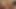 Pornlandvideo genç sativa yarım yamalak sıcak anal kahrolası