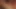 Sıkıca onu sıska kedi sikikleri