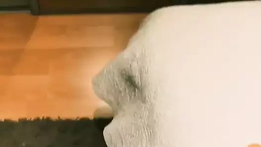 karısının ayakları tarafından mastürbasyon bir travesti