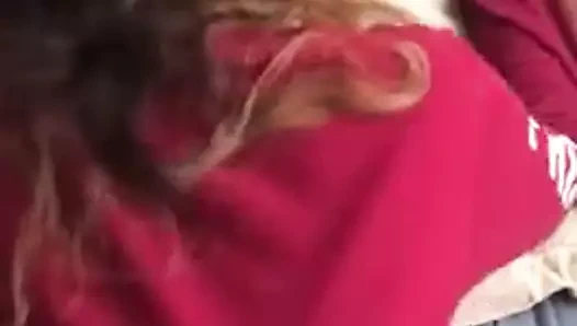 Sıkı kedi gets vurma tarafından bbc